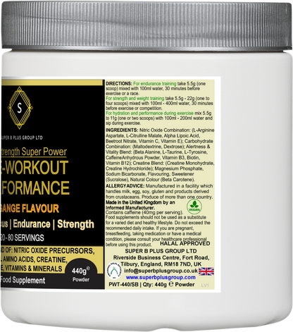 PRE-WORKOUT PERFORMANCE